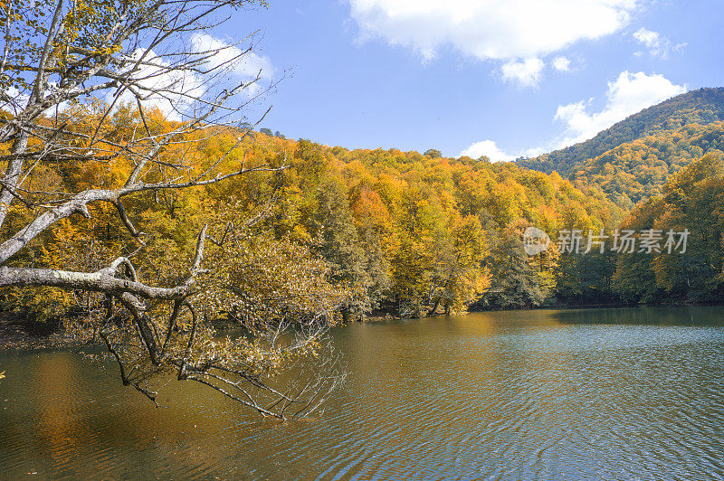 Yedigoller湖国家公园在秋天的mengen bolu土耳其